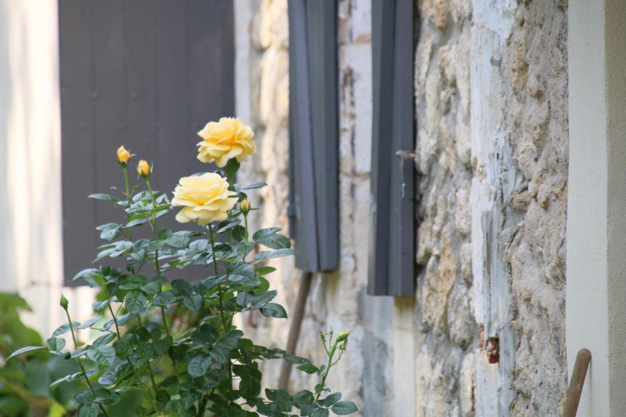 Le Bon Ami Fronsac (Gironde) Exterior foto